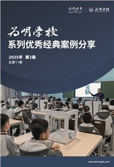 案例集锦（2025年）